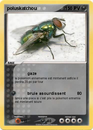 Pokemon poluskatchou
