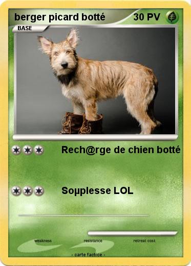 Pokemon berger picard botté