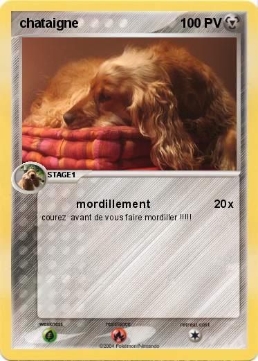 Pokemon chataigne