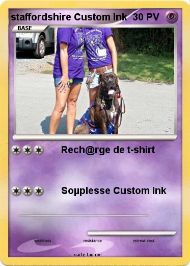 Pokemon staffordshire Custom Ink