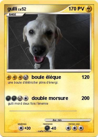Pokemon gulli