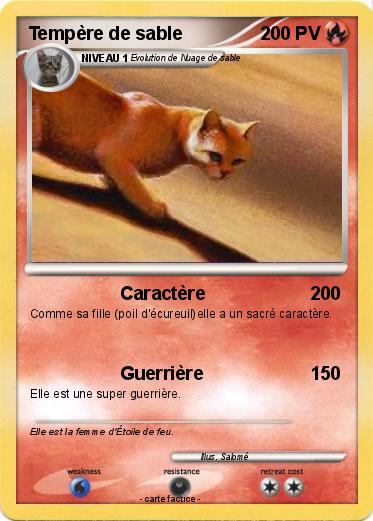 Pokemon Tempère de sable
