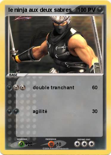 Pokemon le ninja aux deux sabres 