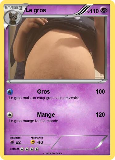 Pokemon Le gros