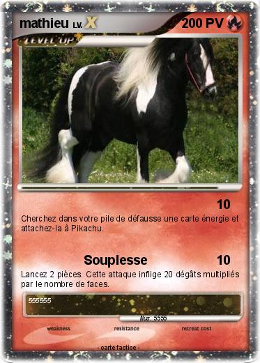 Pokemon mathieu