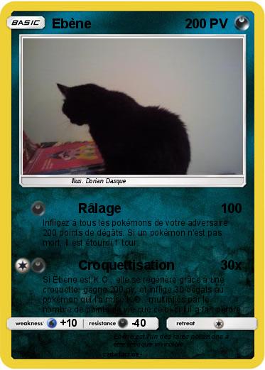 Pokemon Ebène