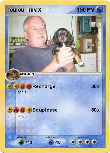 Pokemon loulou   niv.X