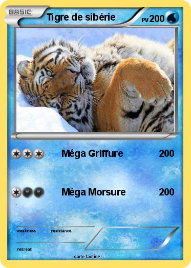 Pokemon Tigre de sibérie