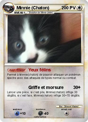 Pokemon Minnie (Chaton)