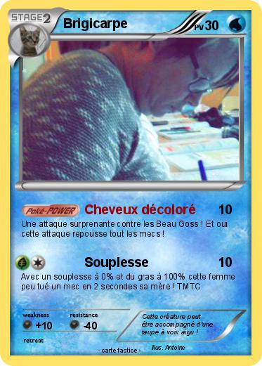 Pokemon Brigicarpe