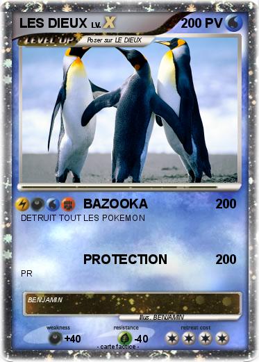 Pokemon LES DIEUX