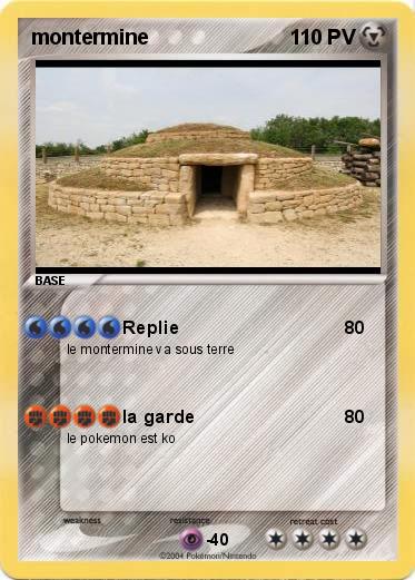 Pokemon montermine