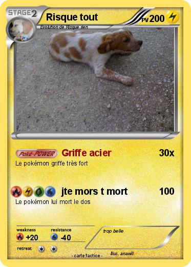 Pokemon Risque tout