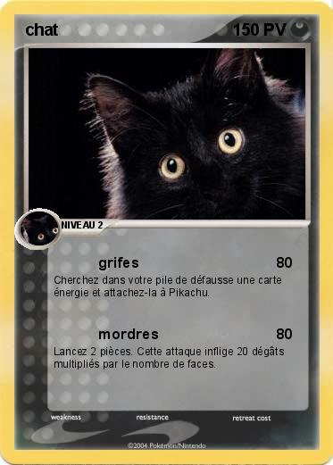 Pokemon chat