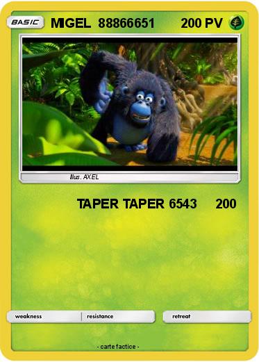 Pokemon MIGEL  88866651