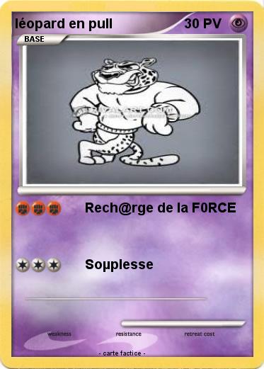 Pokemon léopard en pull