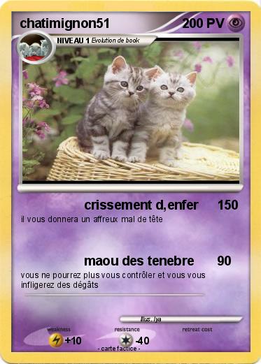 Pokemon chatimignon51