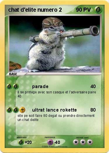 Pokemon chat d'elite numero 2