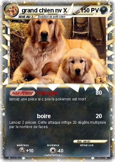 Pokemon grand chien nv X