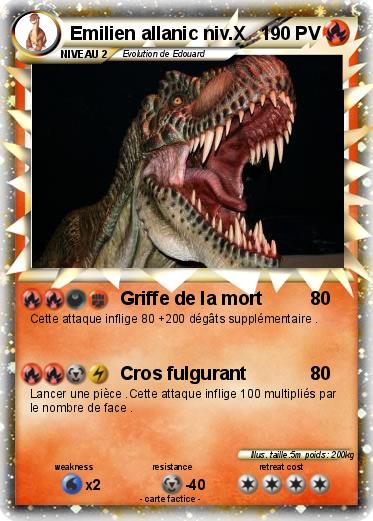 Pokemon Emilien allanic niv.X