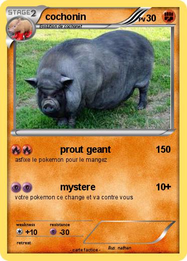 Pokemon cochonin