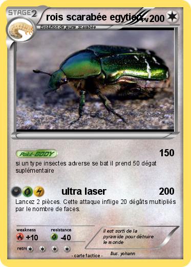 Pokemon rois scarabée egytien