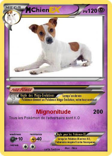 Pokemon Chien