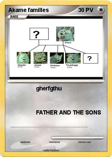 Pokemon Akame familles