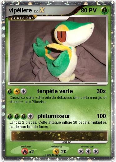 Pokemon vipéliere