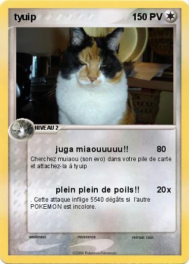 Pokemon tyuip
