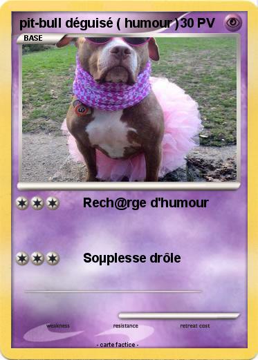 Pokemon pit-bull déguisé ( humour )