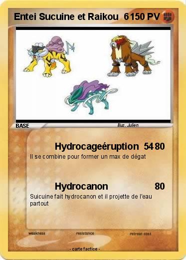 Pokemon Entei Sucuine et Raikou  6