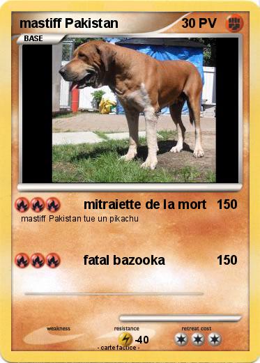 Pokemon mastiff Pakistan