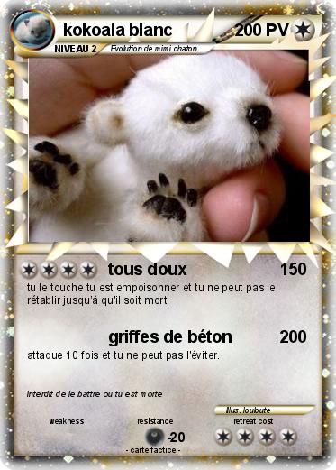 Pokemon kokoala blanc
