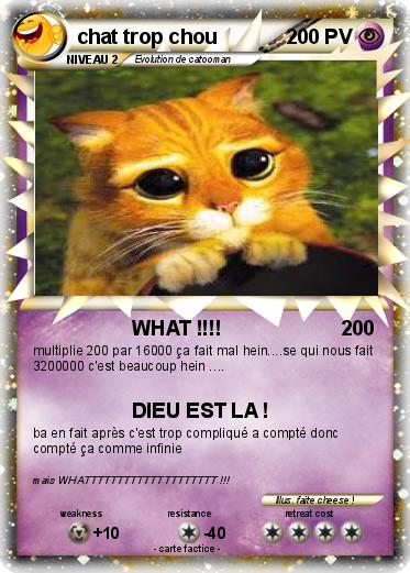 Pokemon chat trop chou