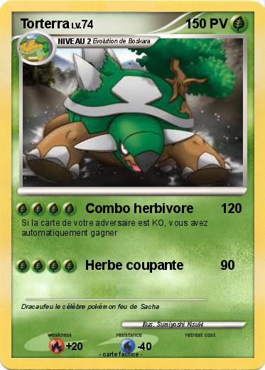 Pokemon Torterra