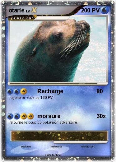 Pokemon otarie