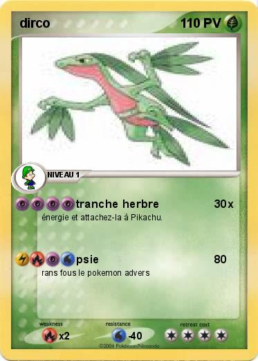 Pokemon dirco