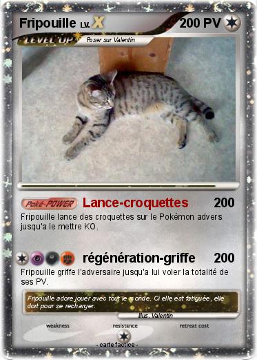 Pokemon Fripouille