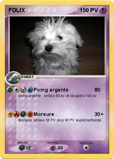Pokemon FOLIX