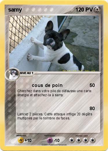 Pokemon samy
