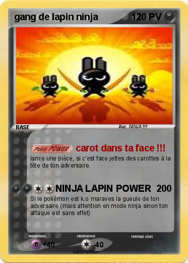 Pokemon gang de lapin ninja