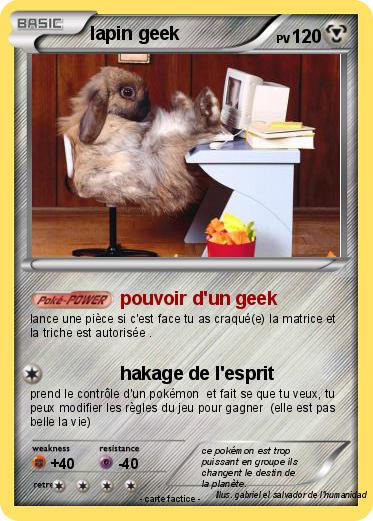 Pokemon lapin geek