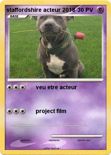 Pokemon staffordshire acteur 2018