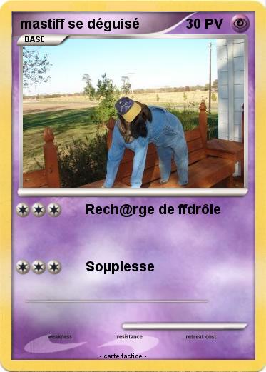 Pokemon mastiff se déguisé