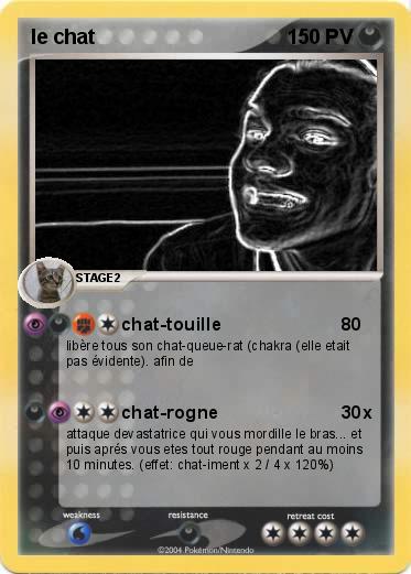 Pokemon le chat
