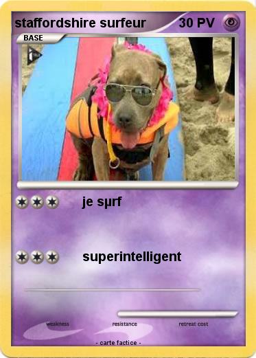 Pokemon staffordshire surfeur