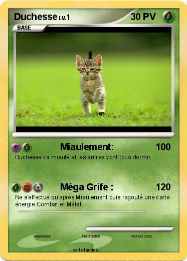 Pokemon Duchesse