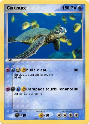 Pokemon Carapuce