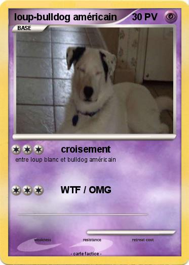 Pokemon loup-bulldog américain